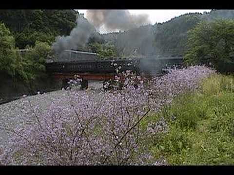 ピンクの花とC56タイ仕様（長い汽笛つき）