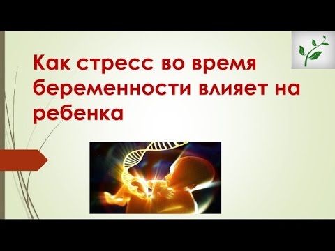 Видео: Постоянные стрессы при беременности