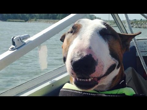 Can You Watch This Without Smiling?