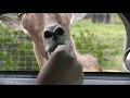 brian-burns-ive-been-everywhere-in-texas.html