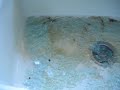 How to: destroy your rental on the day you move