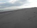 Beach Dream In SHIRASATO