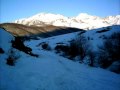 � Sabes qu� es REDIPOLLOS ?