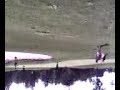 Pat swan dive