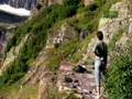 When Animals Strike - Bear Attacks Dad