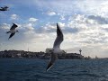 martilar-ve-bogaz.html