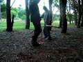 bosque energético en miramar, argentina