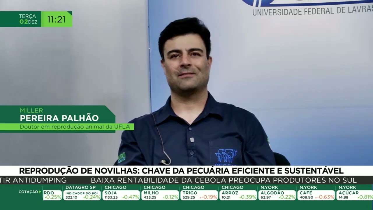 Reprodução de novilhas: Chave da pecuária eficiente e sustentável