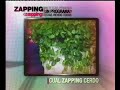 CualZappingCerdo IV (Parte 2 de 2)