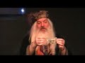 Magic Holiday Show