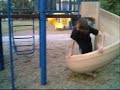 NoLimitz Parkour: Jah&Saintsun Training Vid #2 NoLimitz Parkour: Jah&Saintsun Training Vid #2