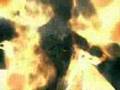 Assistir ao v�deo