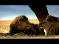 TacoBell Commercial Carne