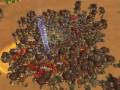 Silkroad monster mash 50 scroll\