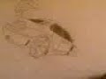 AlienH - Draw one Mitsubishi Evolution tuning car