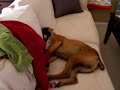 He Snores WHILE Breaking the Rules
