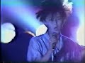??? 1985 Tokyo Valentine Live ??? 1985 Tokyo Valentine Live
