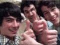 THE JONAS BROTHERS THE JONAS BROTHERS