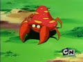 pokemon capitulo 40 - El problema con Paras!(3/3)