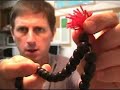 Antique Buddhist Prayer Beads - Wooden Japanese Antique Buddhist Prayer Beads - Wooden Japanese
