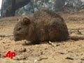high fire danger in big sur evacuations ordered