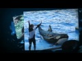 SeaWorld Customer Photos
