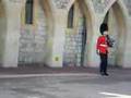 Windsor guard throwing up