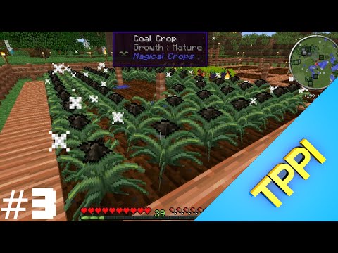 how to grow crops