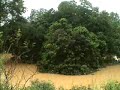 Banjir di Segamat 4
