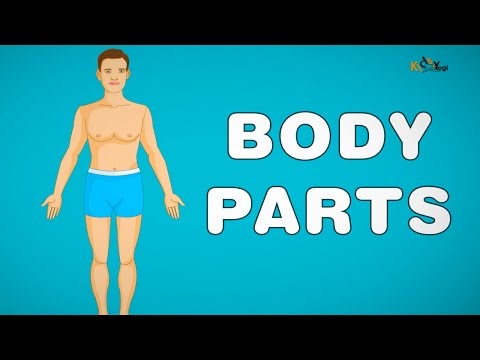 song of the body parts