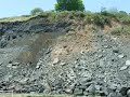 lyme-regis-landslip-black-ven-2008.html