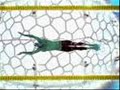 A Tribute to  the Mighty Phelps