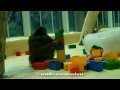 Orangutan vs Lego