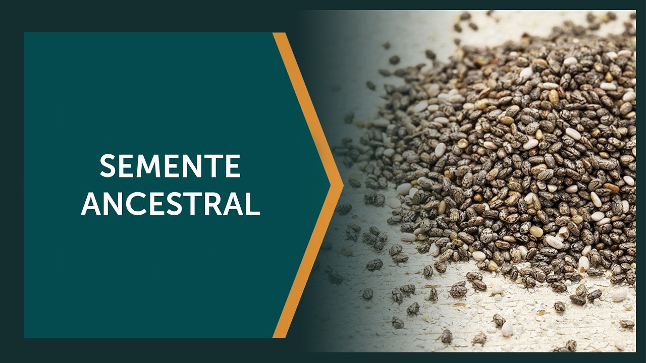 Papel importante nas culturas antigas da América