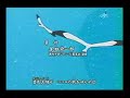 海賊王 OP3