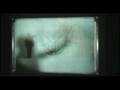 Tool - Parabol/Parabola (Live In New York, NY - 08-13-'02)
