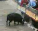 desencajona en bugarra