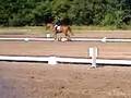 videos de LB1 Juniormesterskaber dressur