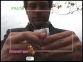La Cámara - NANOMETRAJES 2008