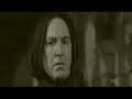 This is not my idea - Draco/Hermione