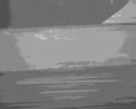 Dead Boat