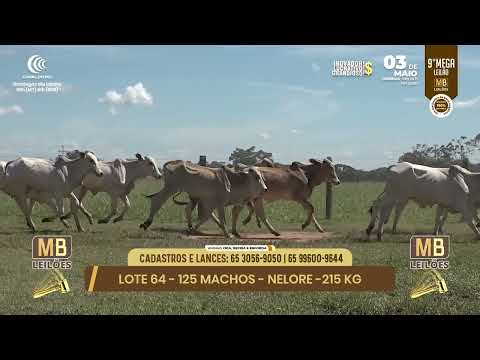 9� MEGA LEIL�O DA MB LEIL�ES