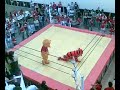 Medicina UACH axis ring fights botargas POOH VS TIGGER WWE