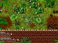 Forbidden Lands Solo (Remastered)