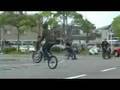 HARLEY-DAVIDSON in HIROSAWA