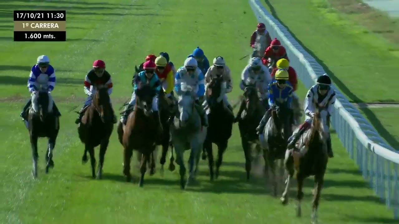 17-10-2021 1ª Carrera- Premio NOOZHOH CANARIAS