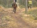 videos de Lodikalla