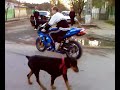 ninja-zx6r-burnout-e