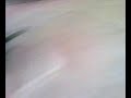 ninja-zx6r-burnout-e