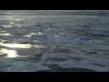 IODP Exp. 313